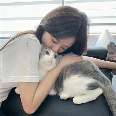 作家的谎言：笔忠诱罪粤语